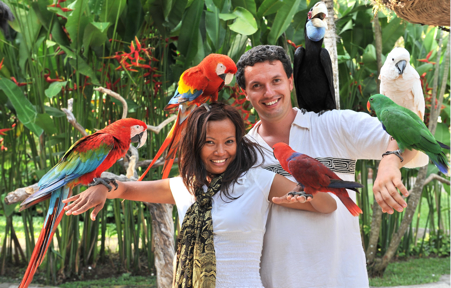 парк птиц Бали